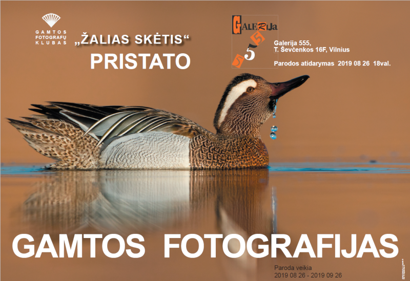 Žalias skėtis